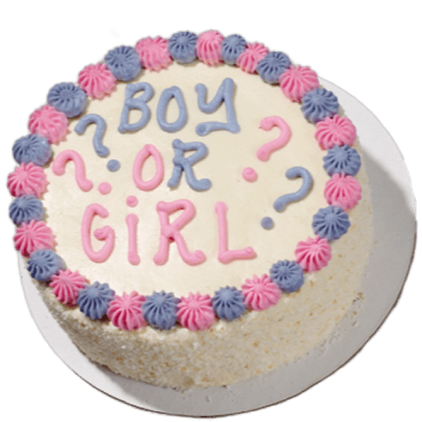 Gender Reveal Cake